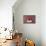 Fresh Slice of Watermelon-Halimqomarudin-Mounted Photographic Print displayed on a wall