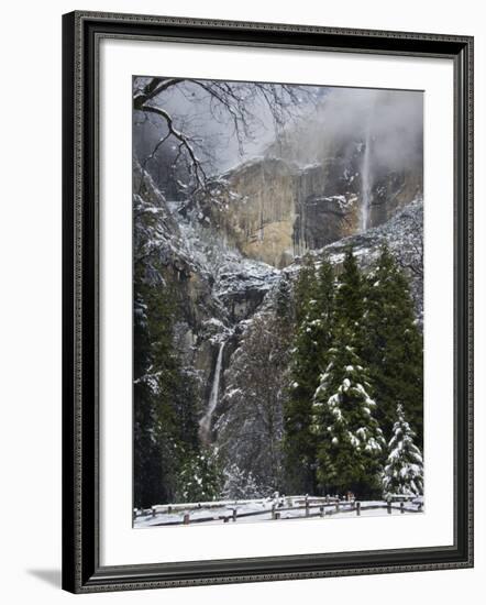 Fresh Snow Fall on Yosemite Falls, Yosemite Valley, Yosemite National Park, California, USA-Kober Christian-Framed Photographic Print