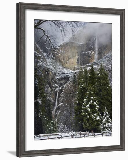 Fresh Snow Fall on Yosemite Falls, Yosemite Valley, Yosemite National Park, California, USA-Kober Christian-Framed Photographic Print