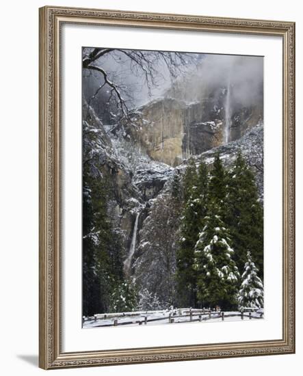 Fresh Snow Fall on Yosemite Falls, Yosemite Valley, Yosemite National Park, California, USA-Kober Christian-Framed Photographic Print