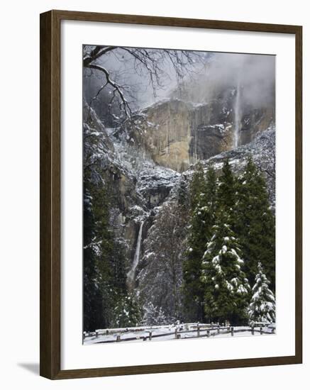 Fresh Snow Fall on Yosemite Falls, Yosemite Valley, Yosemite National Park, California, USA-Kober Christian-Framed Photographic Print