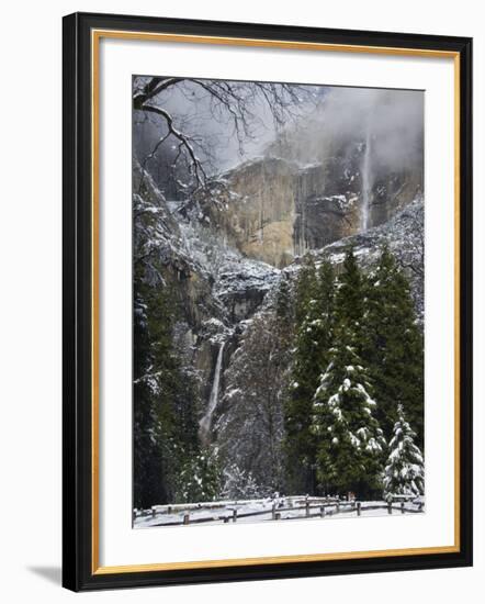 Fresh Snow Fall on Yosemite Falls, Yosemite Valley, Yosemite National Park, California, USA-Kober Christian-Framed Photographic Print