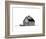 Fresh Snow I-Trent Foltz-Framed Art Print