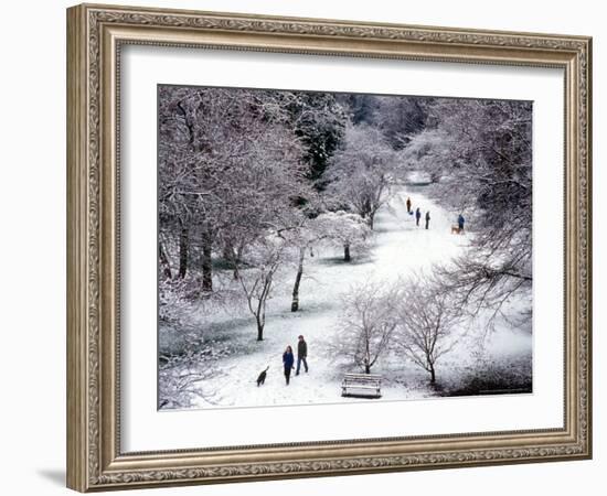 Fresh Snow in the Arboretum, Seattle, Washington, USA-William Sutton-Framed Photographic Print