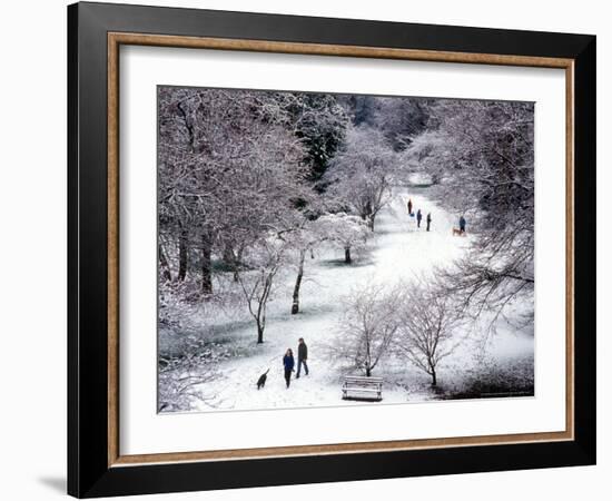 Fresh Snow in the Arboretum, Seattle, Washington, USA-William Sutton-Framed Photographic Print