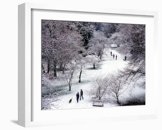 Fresh Snow in the Arboretum, Seattle, Washington, USA-William Sutton-Framed Photographic Print