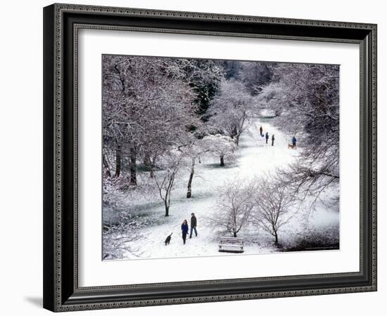 Fresh Snow in the Arboretum, Seattle, Washington, USA-William Sutton-Framed Photographic Print