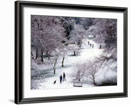 Fresh Snow in the Arboretum, Seattle, Washington, USA-William Sutton-Framed Photographic Print