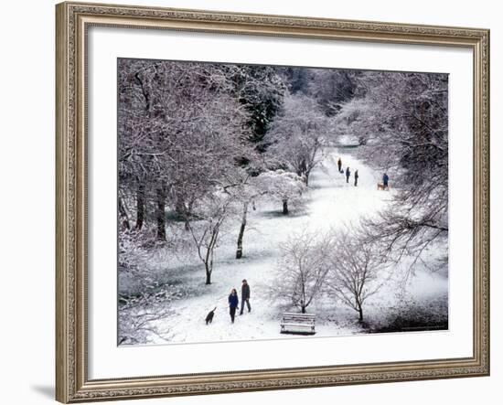 Fresh Snow in the Arboretum, Seattle, Washington, USA-William Sutton-Framed Photographic Print