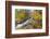 Fresh Snow on Aspens and Pines Along Bishop Creek, Inyo National Forest, California-Russ Bishop-Framed Photographic Print