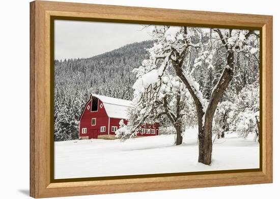 Fresh Snow on Red Barn Near Salmo, British Columbia, Canada-Chuck Haney-Framed Premier Image Canvas