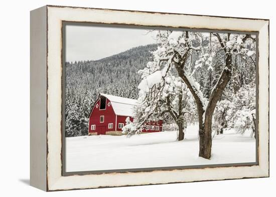 Fresh Snow on Red Barn Near Salmo, British Columbia, Canada-Chuck Haney-Framed Premier Image Canvas