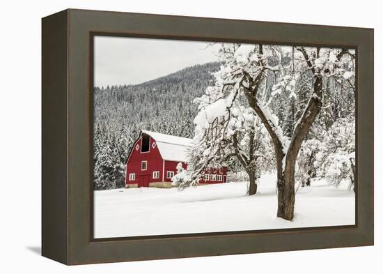 Fresh Snow on Red Barn Near Salmo, British Columbia, Canada-Chuck Haney-Framed Premier Image Canvas