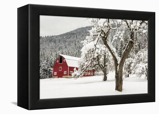 Fresh Snow on Red Barn Near Salmo, British Columbia, Canada-Chuck Haney-Framed Premier Image Canvas