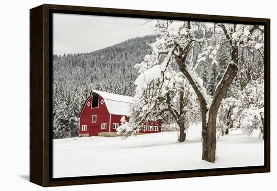 Fresh Snow on Red Barn Near Salmo, British Columbia, Canada-Chuck Haney-Framed Premier Image Canvas