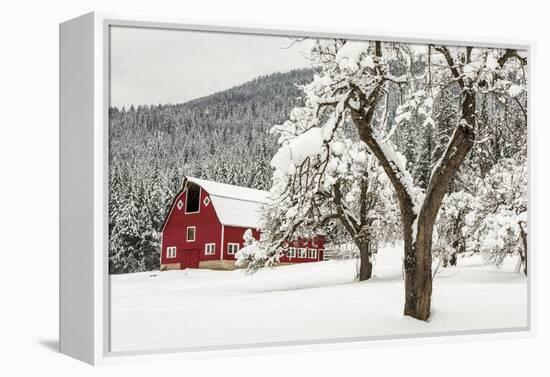 Fresh Snow on Red Barn Near Salmo, British Columbia, Canada-Chuck Haney-Framed Premier Image Canvas