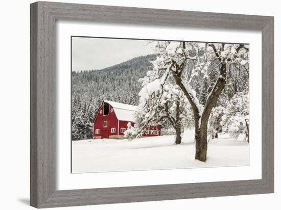 Fresh Snow on Red Barn Near Salmo, British Columbia, Canada-Chuck Haney-Framed Photographic Print