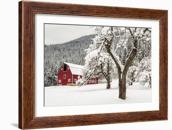 Fresh Snow on Red Barn Near Salmo, British Columbia, Canada-Chuck Haney-Framed Photographic Print