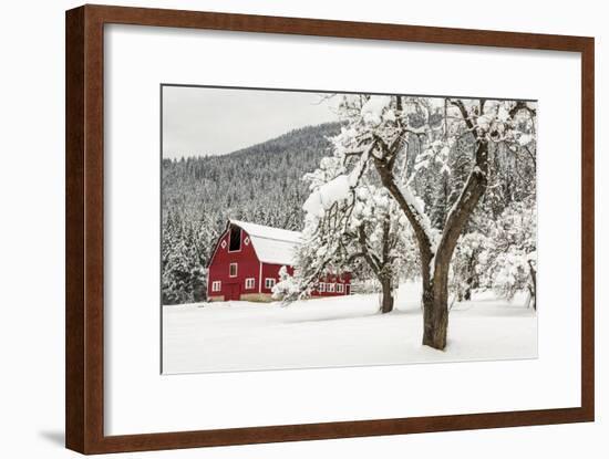 Fresh Snow on Red Barn Near Salmo, British Columbia, Canada-Chuck Haney-Framed Photographic Print