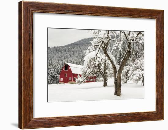 Fresh Snow on Red Barn Near Salmo, British Columbia, Canada-Chuck Haney-Framed Photographic Print