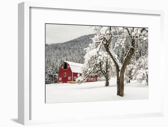 Fresh Snow on Red Barn Near Salmo, British Columbia, Canada-Chuck Haney-Framed Photographic Print