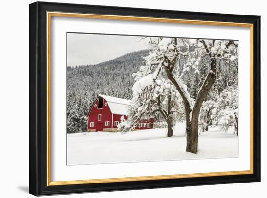 Fresh Snow on Red Barn Near Salmo, British Columbia, Canada-Chuck Haney-Framed Photographic Print