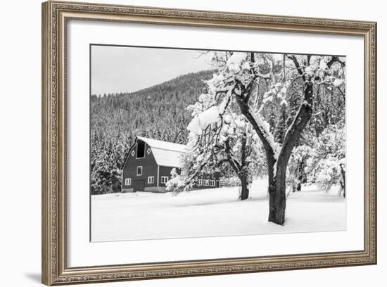 Fresh Snow on Red Barn Near Salmo, British Columbia, Canada-Chuck Haney-Framed Photographic Print