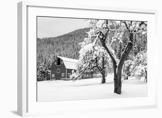 Fresh Snow on Red Barn Near Salmo, British Columbia, Canada-Chuck Haney-Framed Photographic Print
