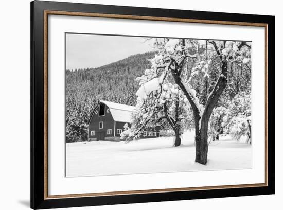 Fresh Snow on Red Barn Near Salmo, British Columbia, Canada-Chuck Haney-Framed Photographic Print