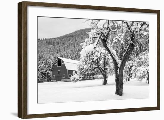 Fresh Snow on Red Barn Near Salmo, British Columbia, Canada-Chuck Haney-Framed Photographic Print