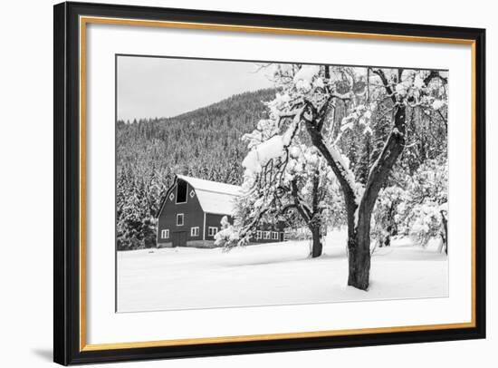 Fresh Snow on Red Barn Near Salmo, British Columbia, Canada-Chuck Haney-Framed Photographic Print