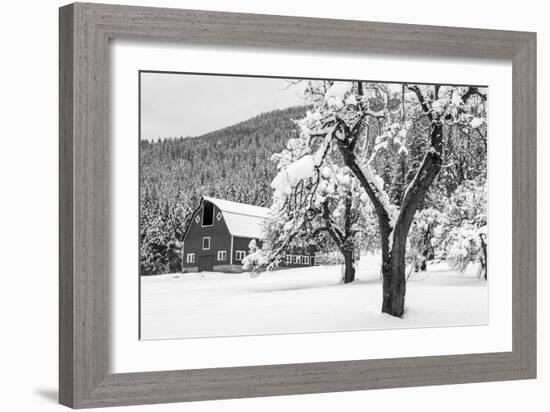 Fresh Snow on Red Barn Near Salmo, British Columbia, Canada-Chuck Haney-Framed Photographic Print