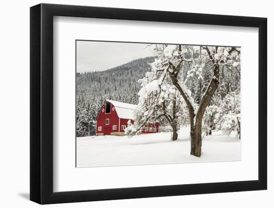 Fresh Snow on Red Barn Near Salmo, British Columbia, Canada-Chuck Haney-Framed Photographic Print