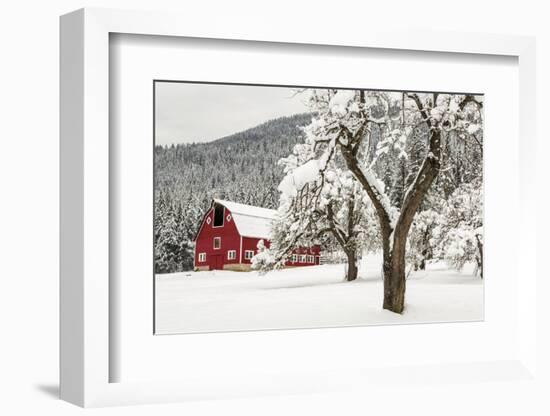 Fresh Snow on Red Barn Near Salmo, British Columbia, Canada-Chuck Haney-Framed Photographic Print