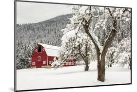 Fresh Snow on Red Barn Near Salmo, British Columbia, Canada-Chuck Haney-Mounted Photographic Print