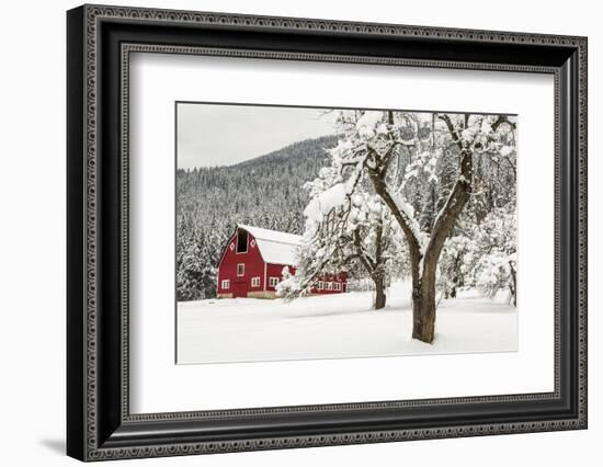 Fresh Snow on Red Barn Near Salmo, British Columbia, Canada-Chuck Haney-Framed Photographic Print