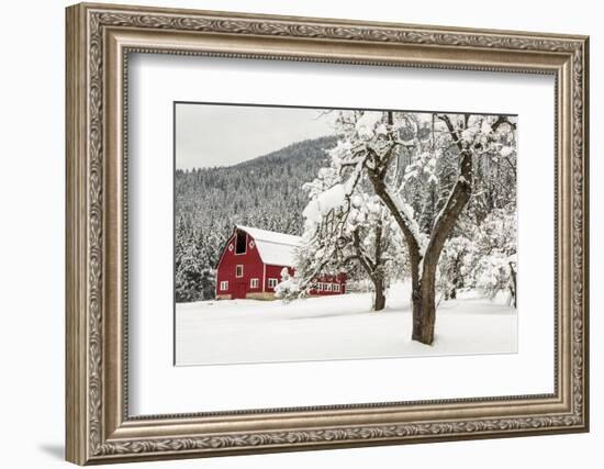 Fresh Snow on Red Barn Near Salmo, British Columbia, Canada-Chuck Haney-Framed Premium Photographic Print