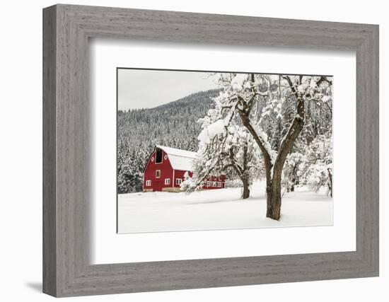 Fresh Snow on Red Barn Near Salmo, British Columbia, Canada-Chuck Haney-Framed Premium Photographic Print