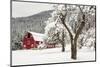 Fresh Snow on Red Barn Near Salmo, British Columbia, Canada-Chuck Haney-Mounted Premium Photographic Print