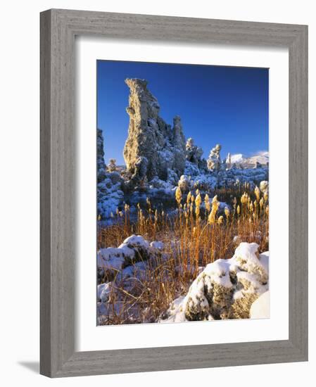 Fresh Snow on Tufa Formations & Cattails at Sunrise, Mono Lake, Inyo National Forest, CA-Scott T. Smith-Framed Photographic Print