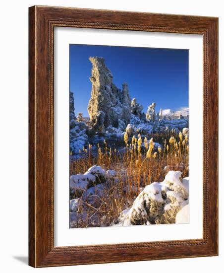 Fresh Snow on Tufa Formations & Cattails at Sunrise, Mono Lake, Inyo National Forest, CA-Scott T. Smith-Framed Photographic Print