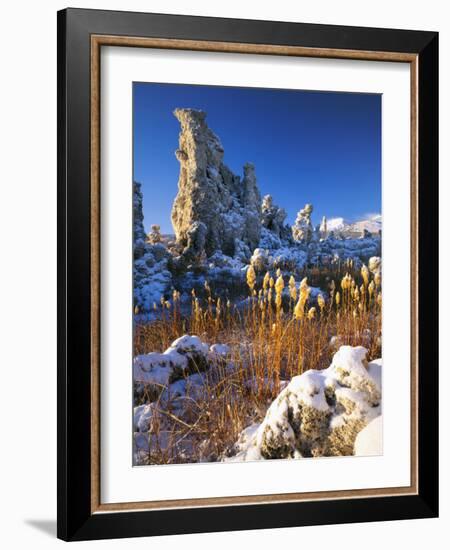 Fresh Snow on Tufa Formations & Cattails at Sunrise, Mono Lake, Inyo National Forest, CA-Scott T. Smith-Framed Photographic Print