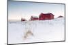 Fresh Snow Surrounds the Typical Fishermen Houses Called Rorbu in Winter, Eggum-Roberto Moiola-Mounted Photographic Print