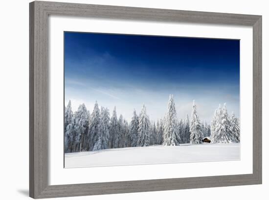 Fresh Snow-Philippe Sainte-Laudy-Framed Photographic Print
