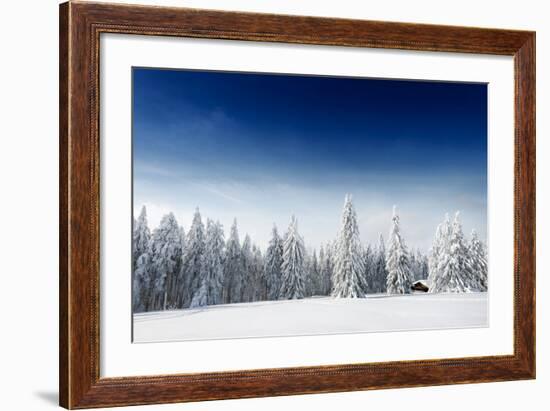 Fresh Snow-Philippe Sainte-Laudy-Framed Photographic Print