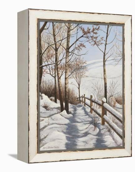 Fresh Snow-Lene Alston Casey-Framed Stretched Canvas