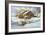 Fresh Snow-Jack Wemp-Framed Giclee Print