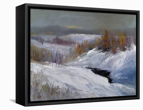 Fresh Snow-Sheila Finch-Framed Stretched Canvas