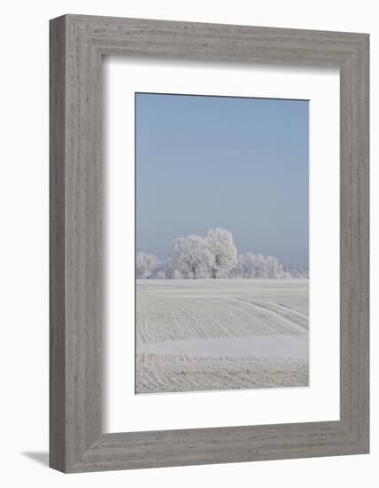 Fresh snowfall in winter scenery-Andrea Haase-Framed Photographic Print