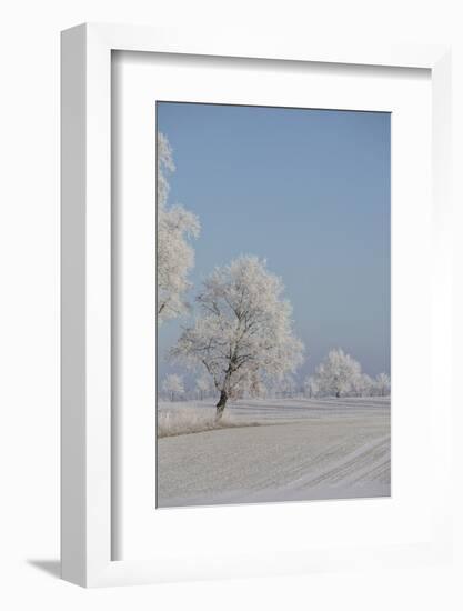 Fresh snowfall in winter scenery-Andrea Haase-Framed Photographic Print